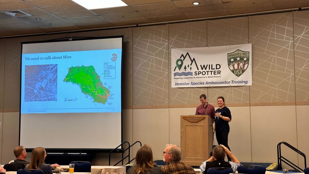 Two individuals are standing behind a podium, speaking to an audience.